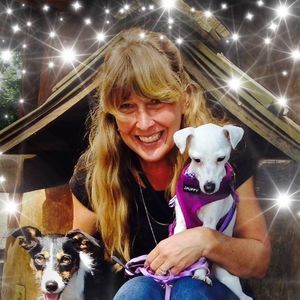 Meet your Posher, Dawn